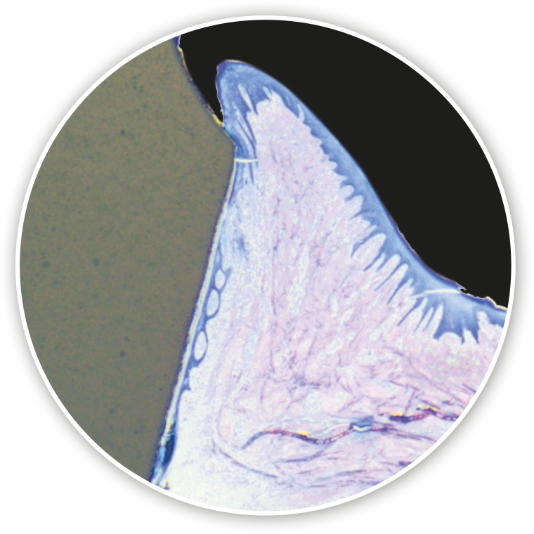 Clarico-Image-Text