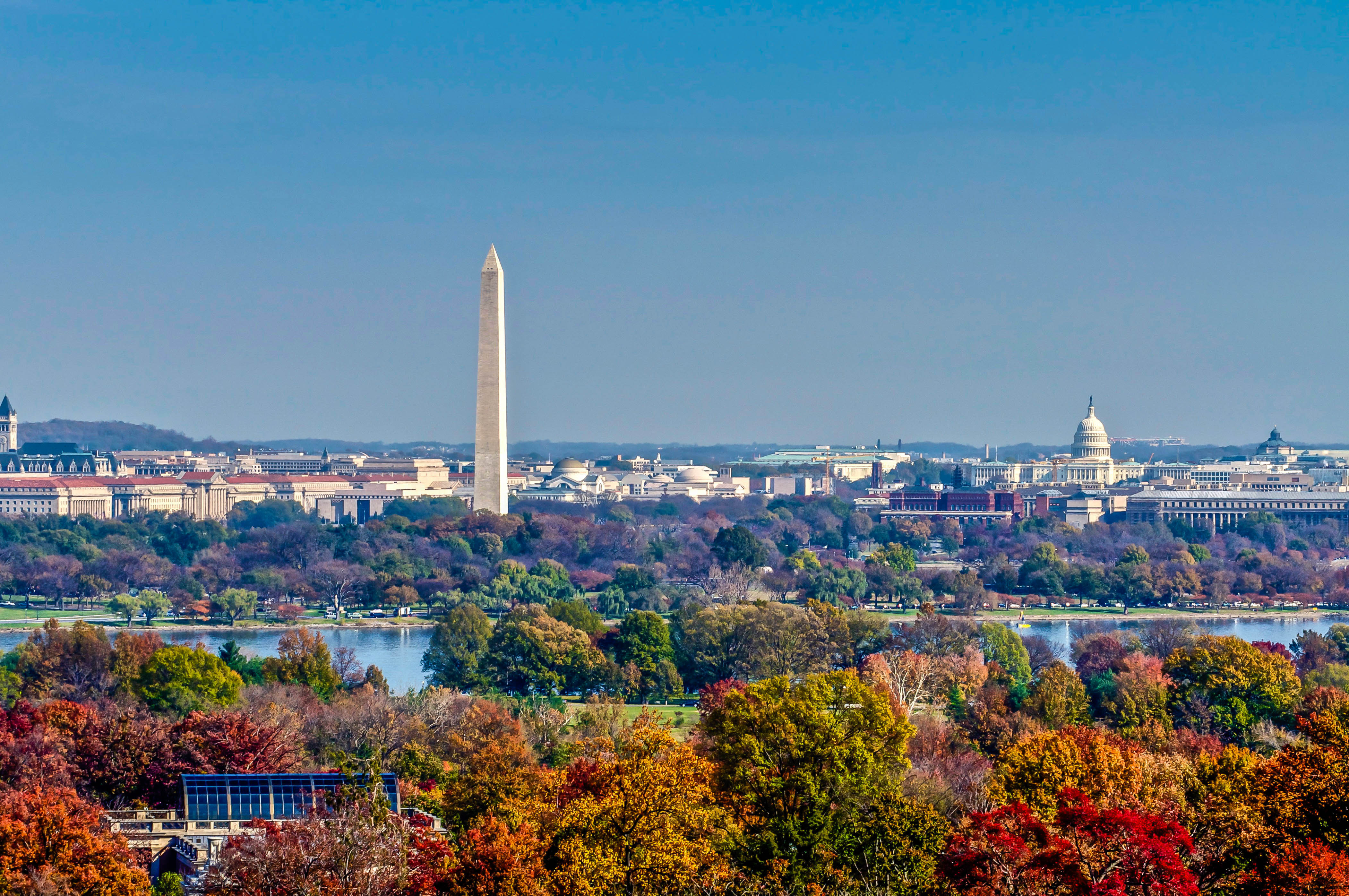 Slixa Washington Dc