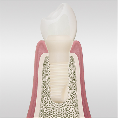 Quick Guide Surgery Kopie